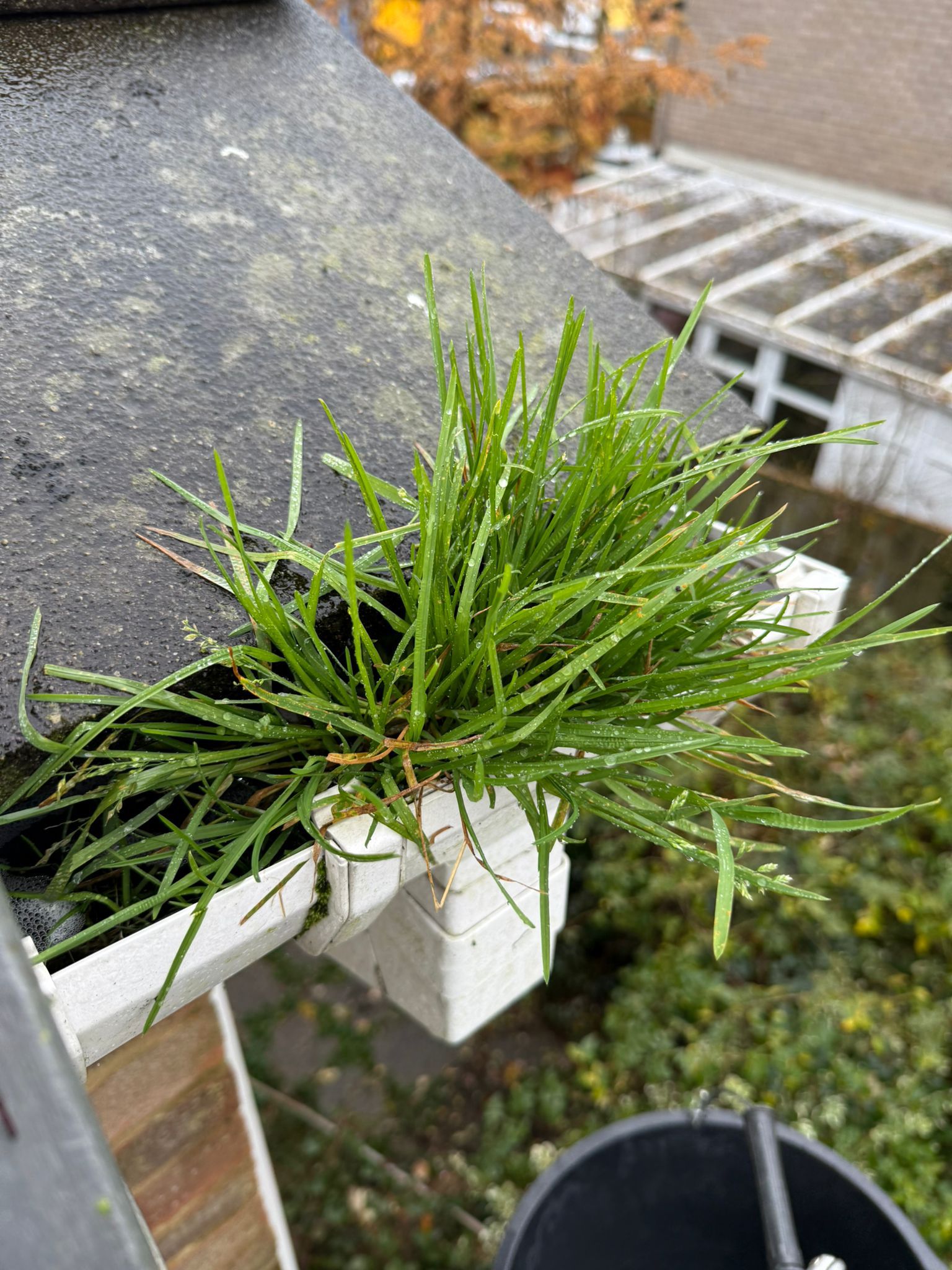 Blocked gutter downpipe in Windsor